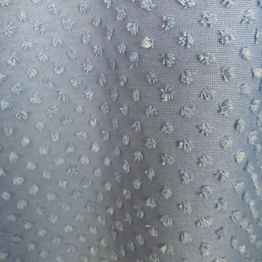 Ruby Rd.  Horseshoe Neck Blue Swiss Dot 3/4 Lantern Sleeve Size Medium Fresh Tak - Picture 9 of 9